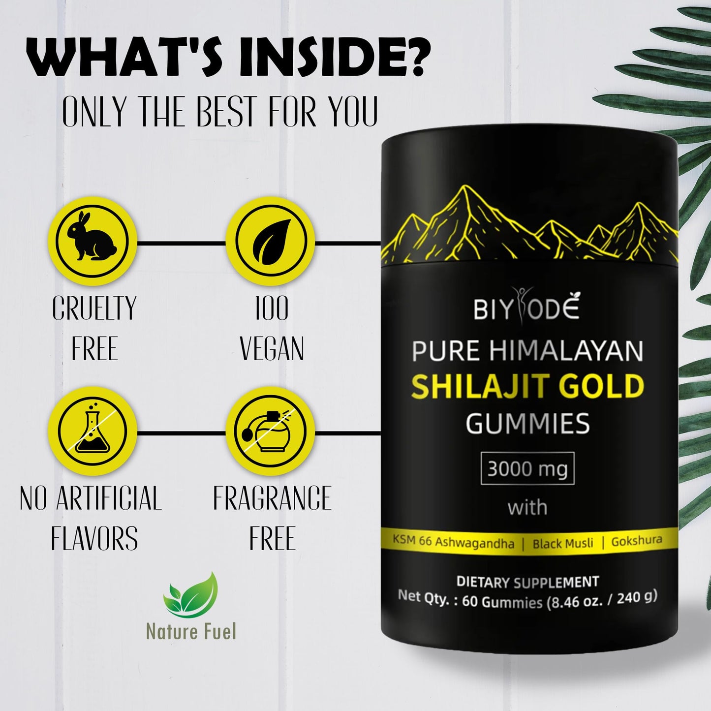Generic Pure Himalayan Shilajit Gummies with Ashwagandha, 60 Gummies