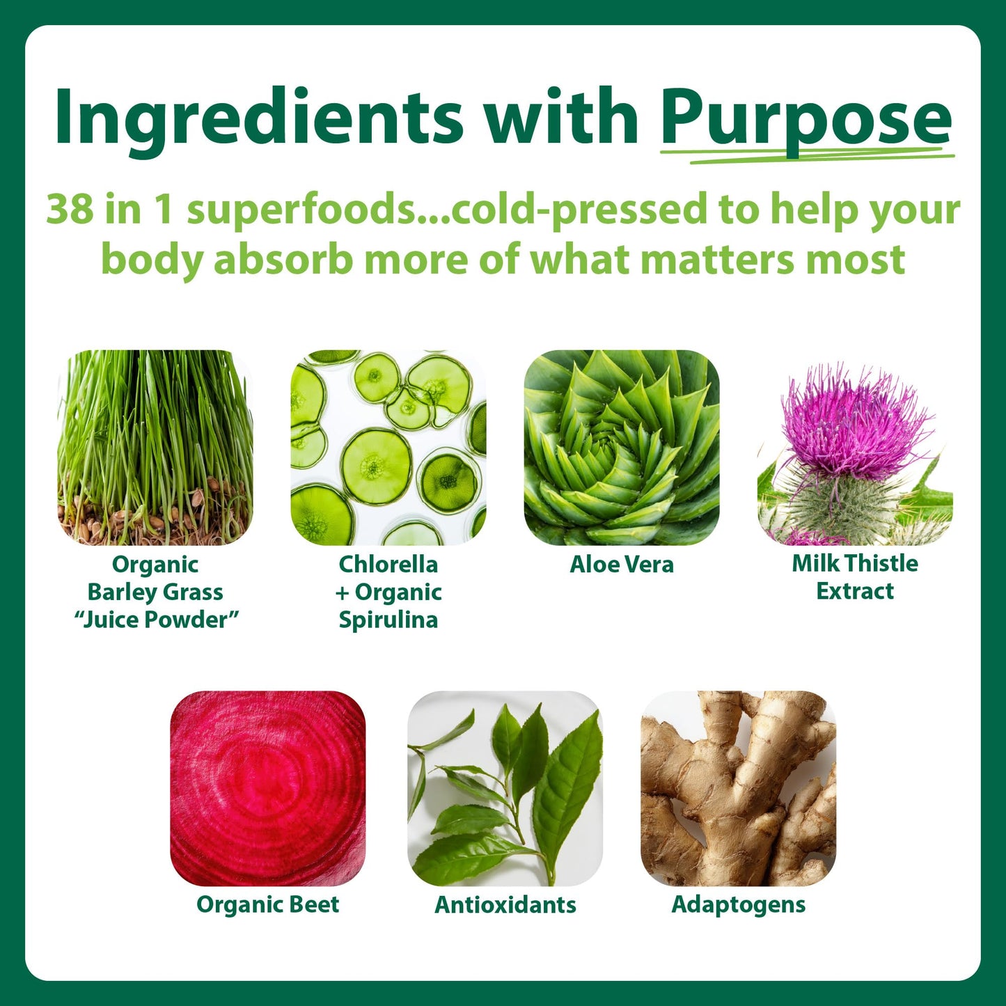 MacroLife Naturals Macro Greens Powder, 30 oz
