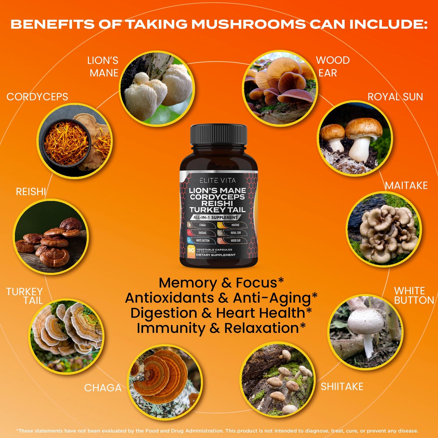 Elite Vita Nootropic Mushroom Supplement Lions Mane, Cordyceps, Reishi, Chaga Blend Capsules, 90 Count