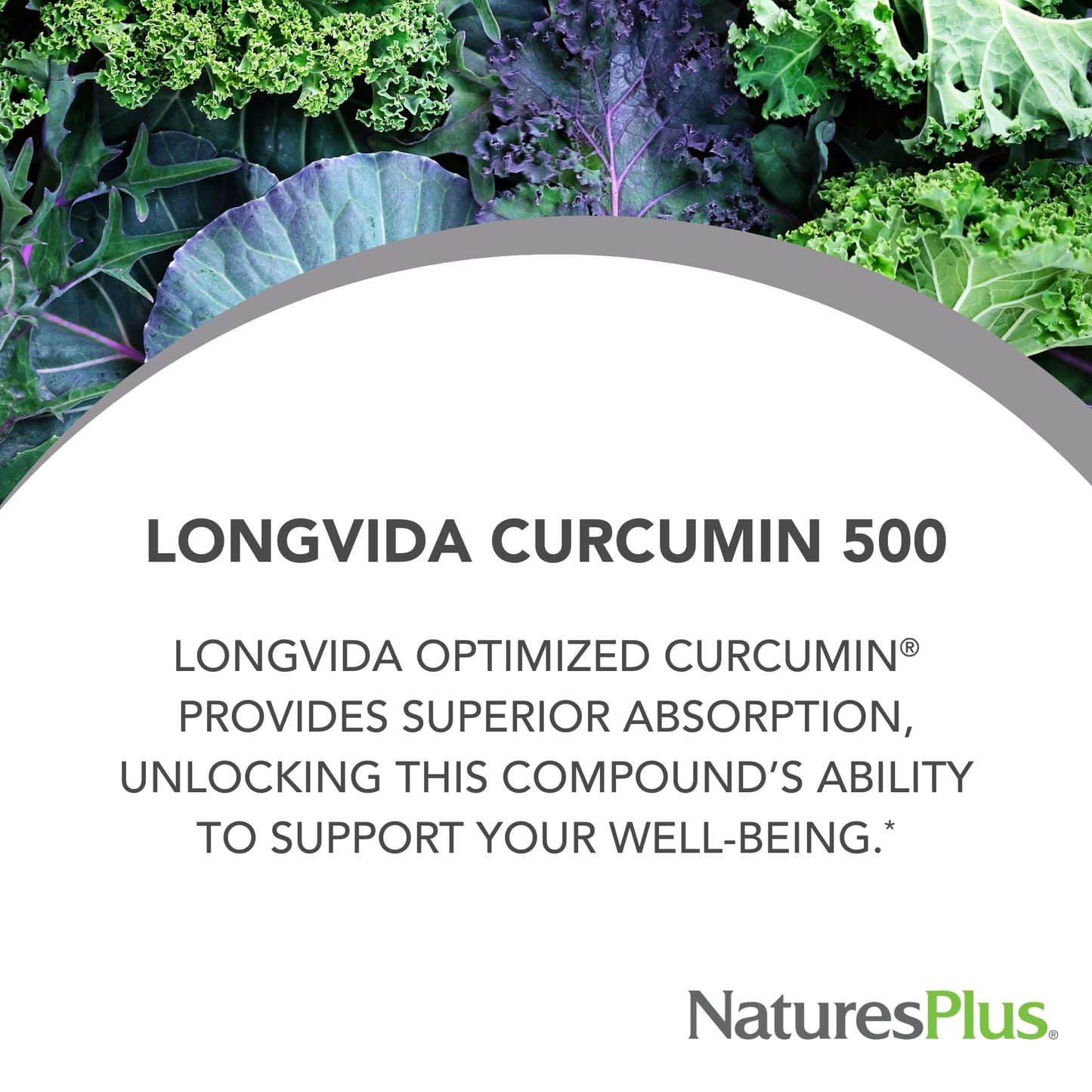 NaturesPlus PRO Longvida Curcumin 500 mg 60 Capsules