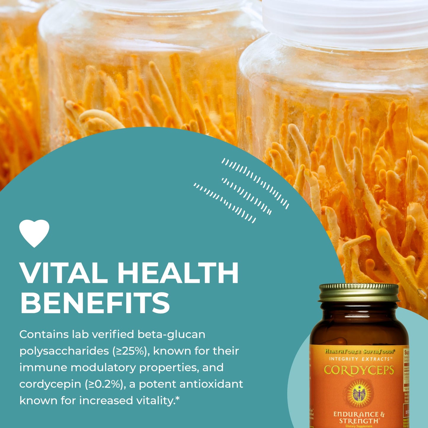 HealthForce SuperFoods Integrity Extracts Cordyceps Capsules, 90 Vegan Capsules