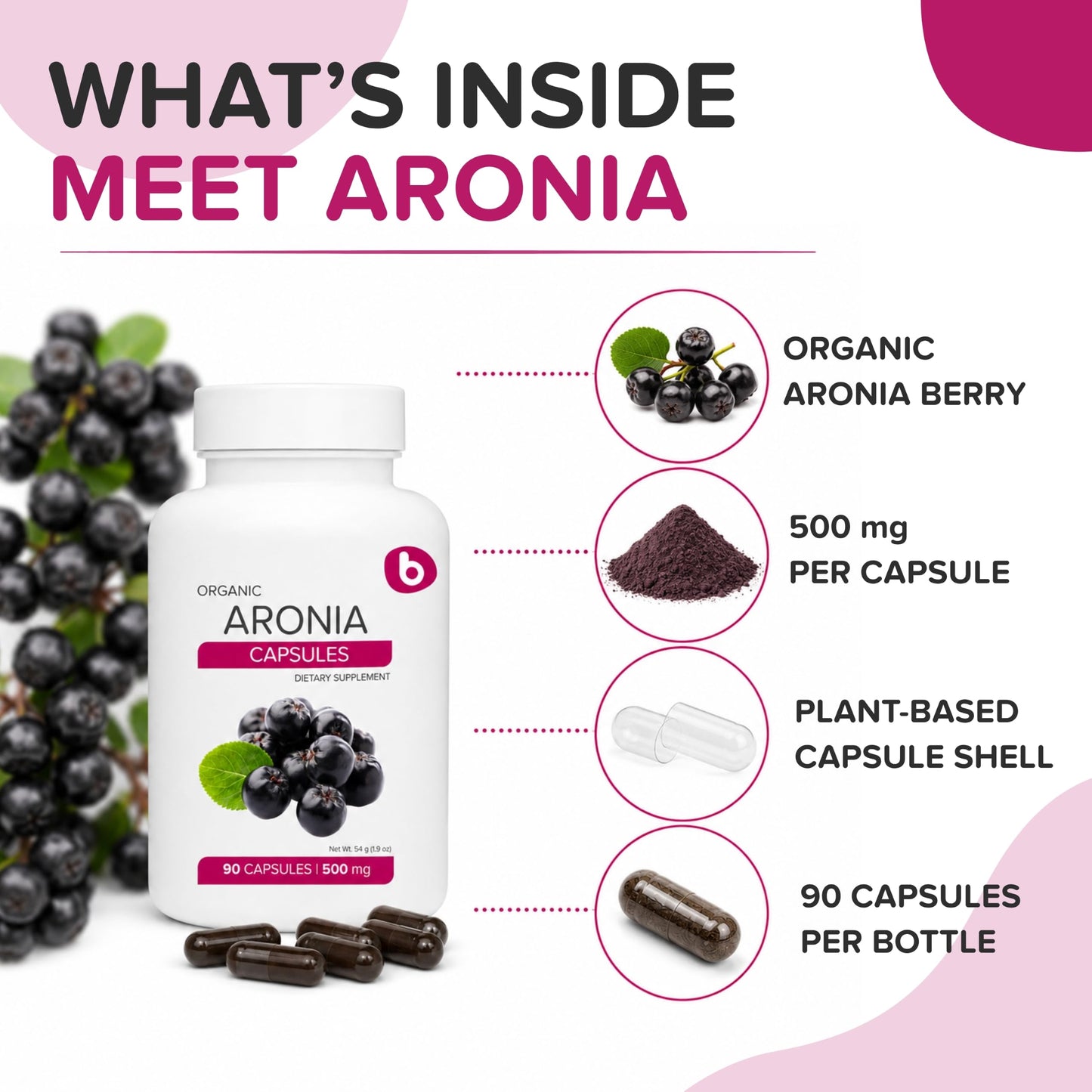b Aronia Berry Capsules 90 Capsules