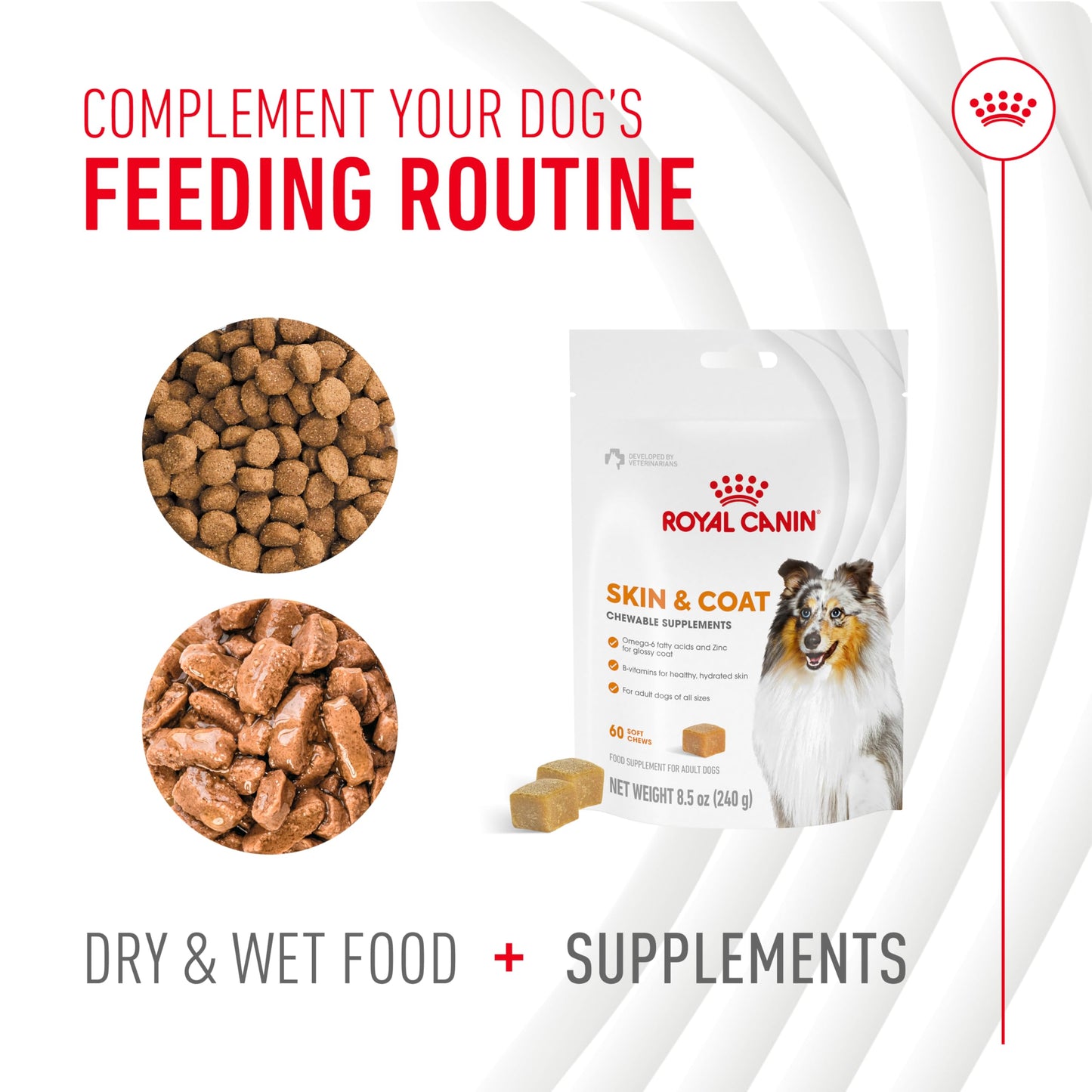 ROYAL CANIN Skin & Coat Dog Supplement for Adult Dogs Capsule 1
