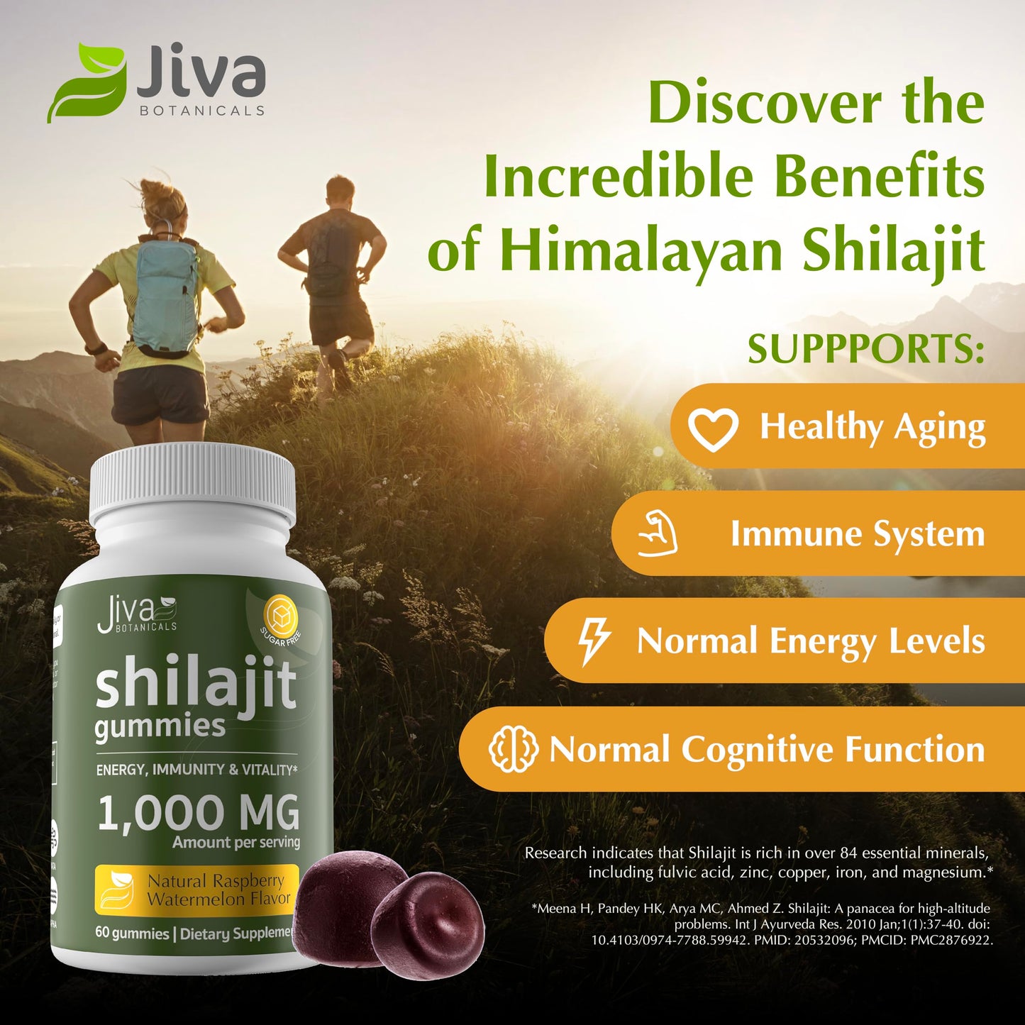 Jiva Botanicals Shilajit Gummies 1000mg, 60 Count