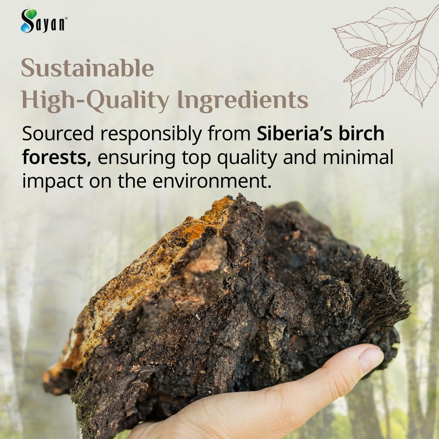 Sayan Coarse Chaga Powder 16 oz Powder