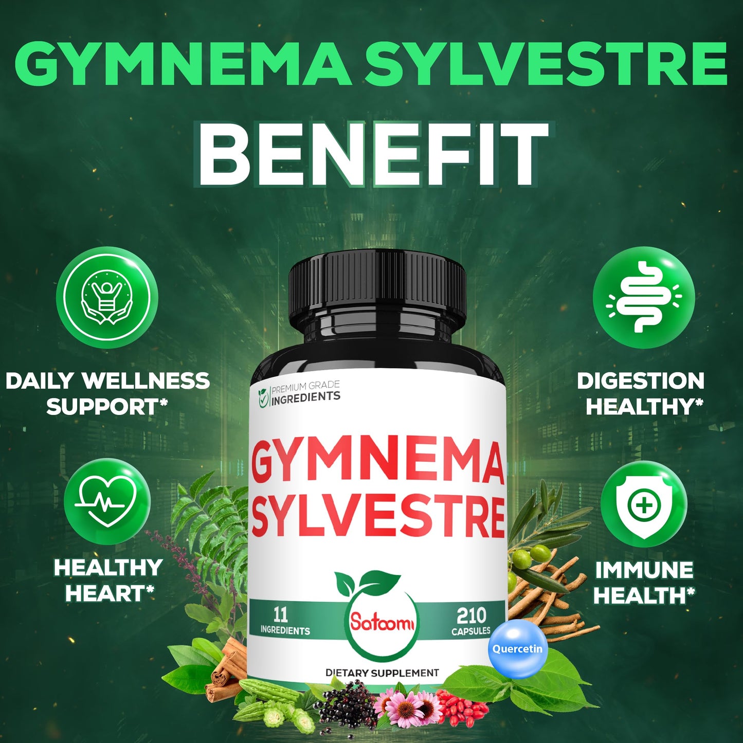 Satoomi Gymnema Sylvestre 1000mg Capsule 210 Count