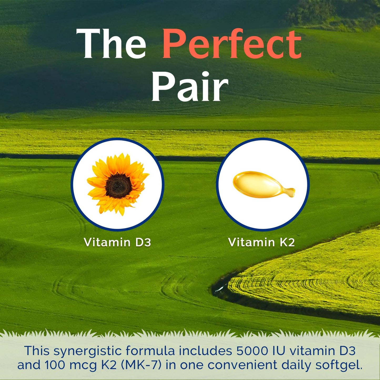 Innate Vitality Vitamin D3 K2 Supplement Softgels 90 Count