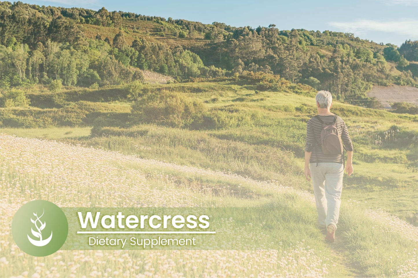 Pure Original Ingredients Watercress Capsules 100