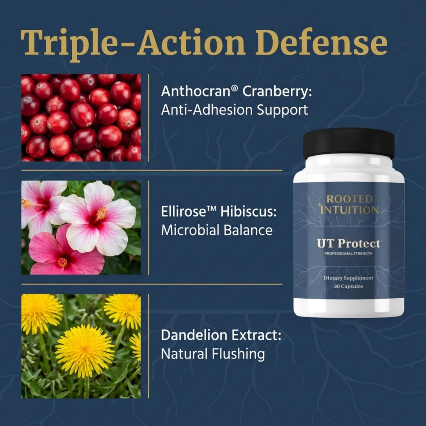 Rooted Intuition UT Protect Capsules 30