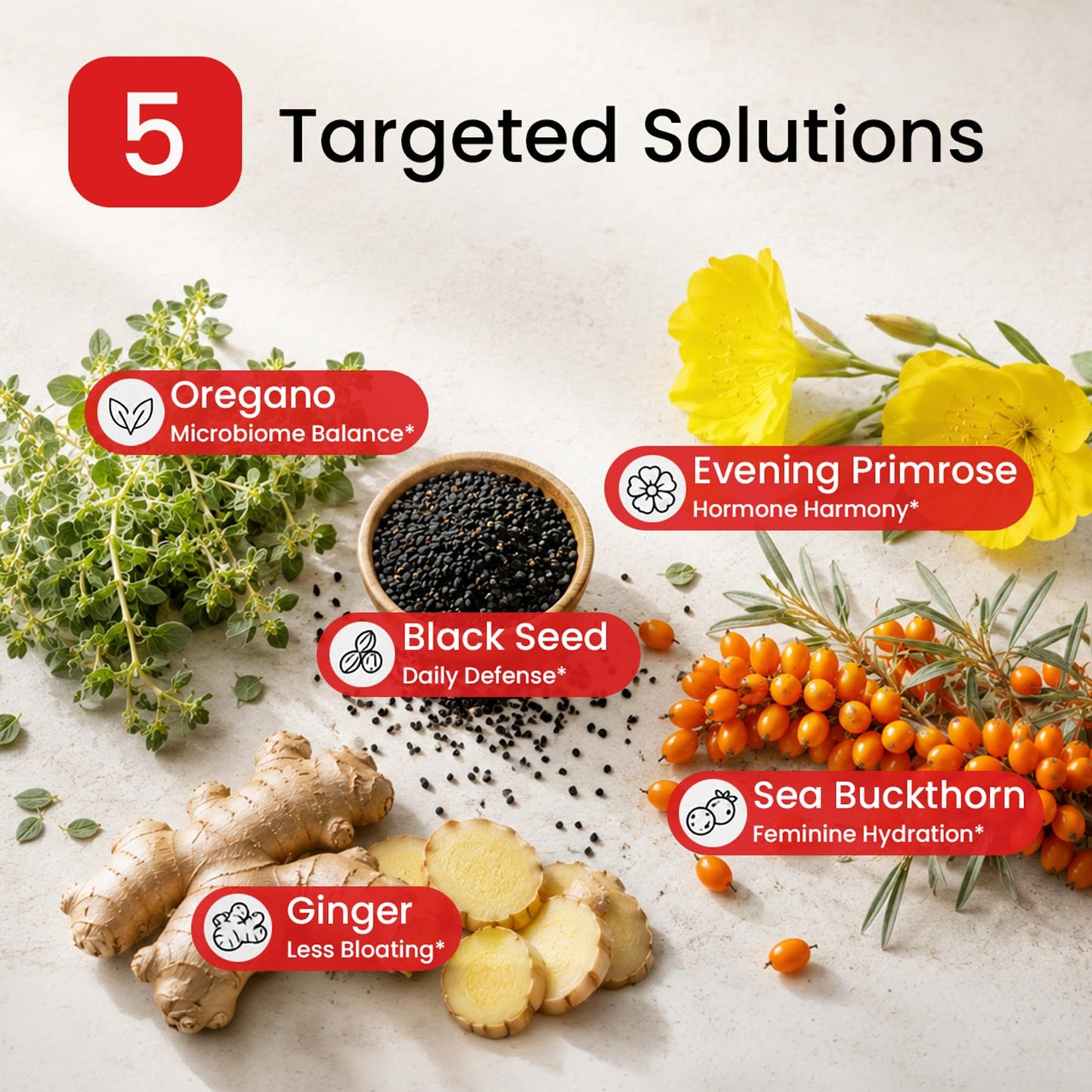 Bloomeo Oil of Oregano with Black Seed Oil for Women Softgels 120 Count