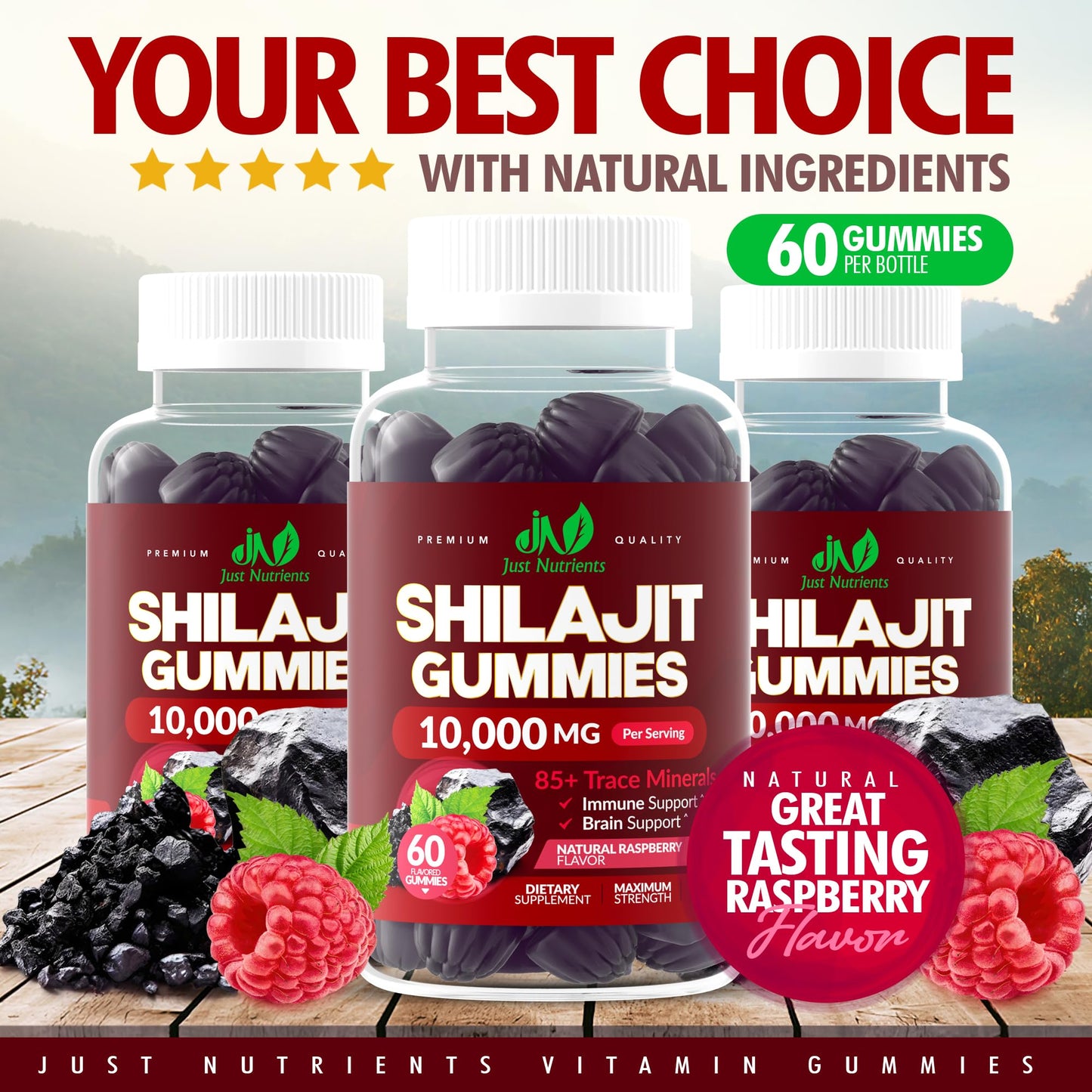 Just Nutrients Shilajit 10,000mg Gummies, 60 Count