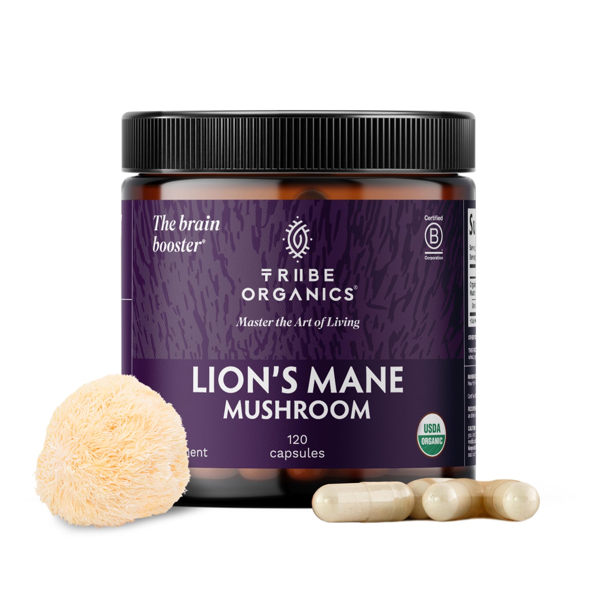 TRIBE ORGANICS Lion’s Mane Supplement 1000mg Mushroom Extract Powder, 120
