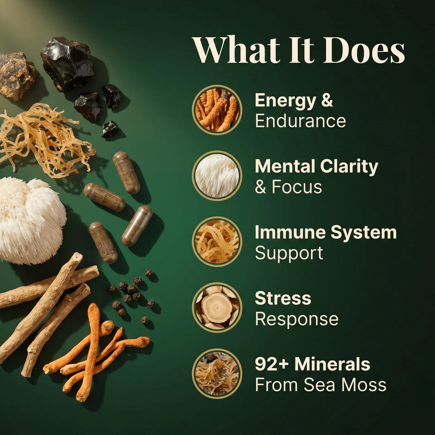 PURETREX Shilajit Sea Moss Lions Mane Ashwagandha Cordyceps Capsules, 120 Capsules