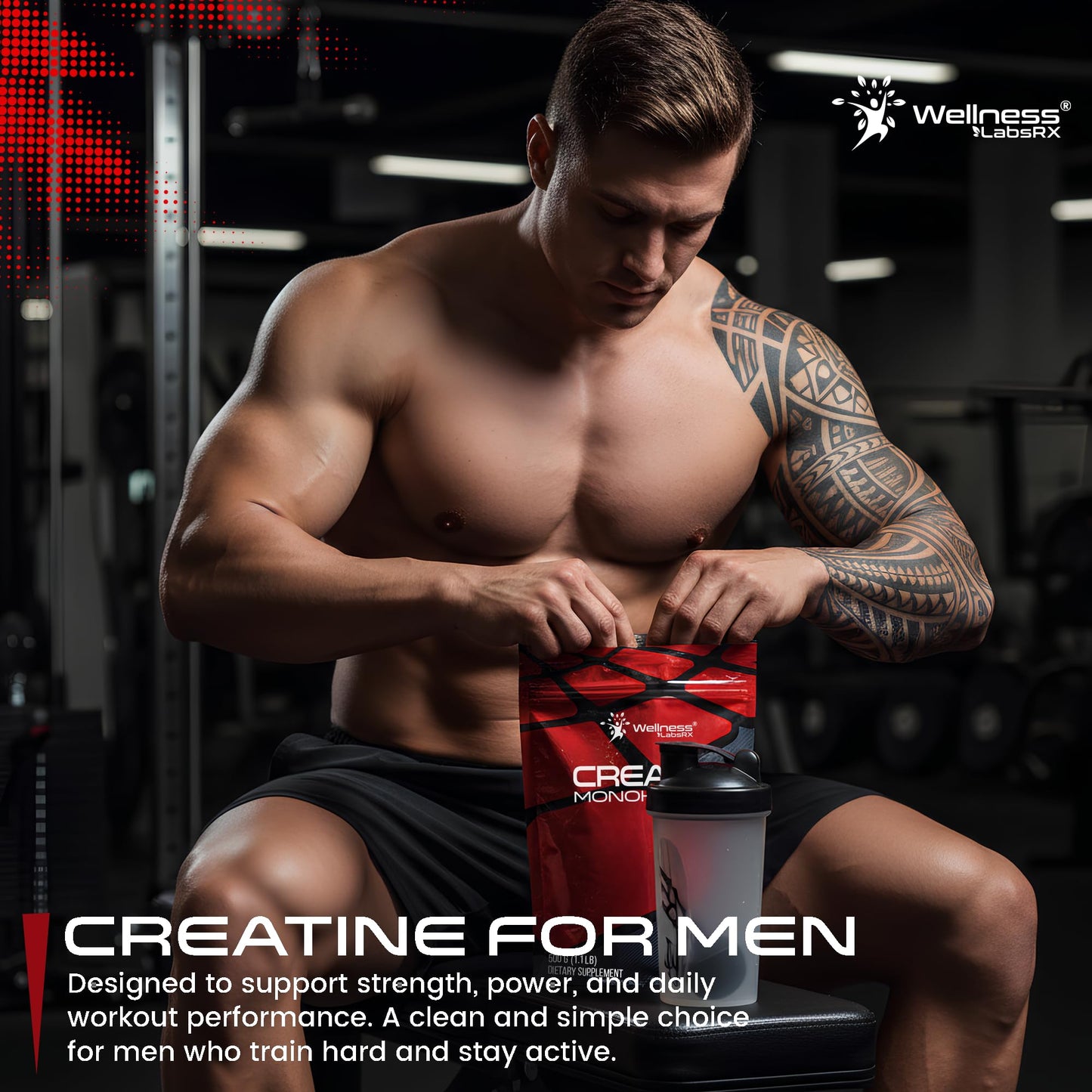 WELLNESS LABSRX Creatine Monohydrate Powder, 17.6 oz