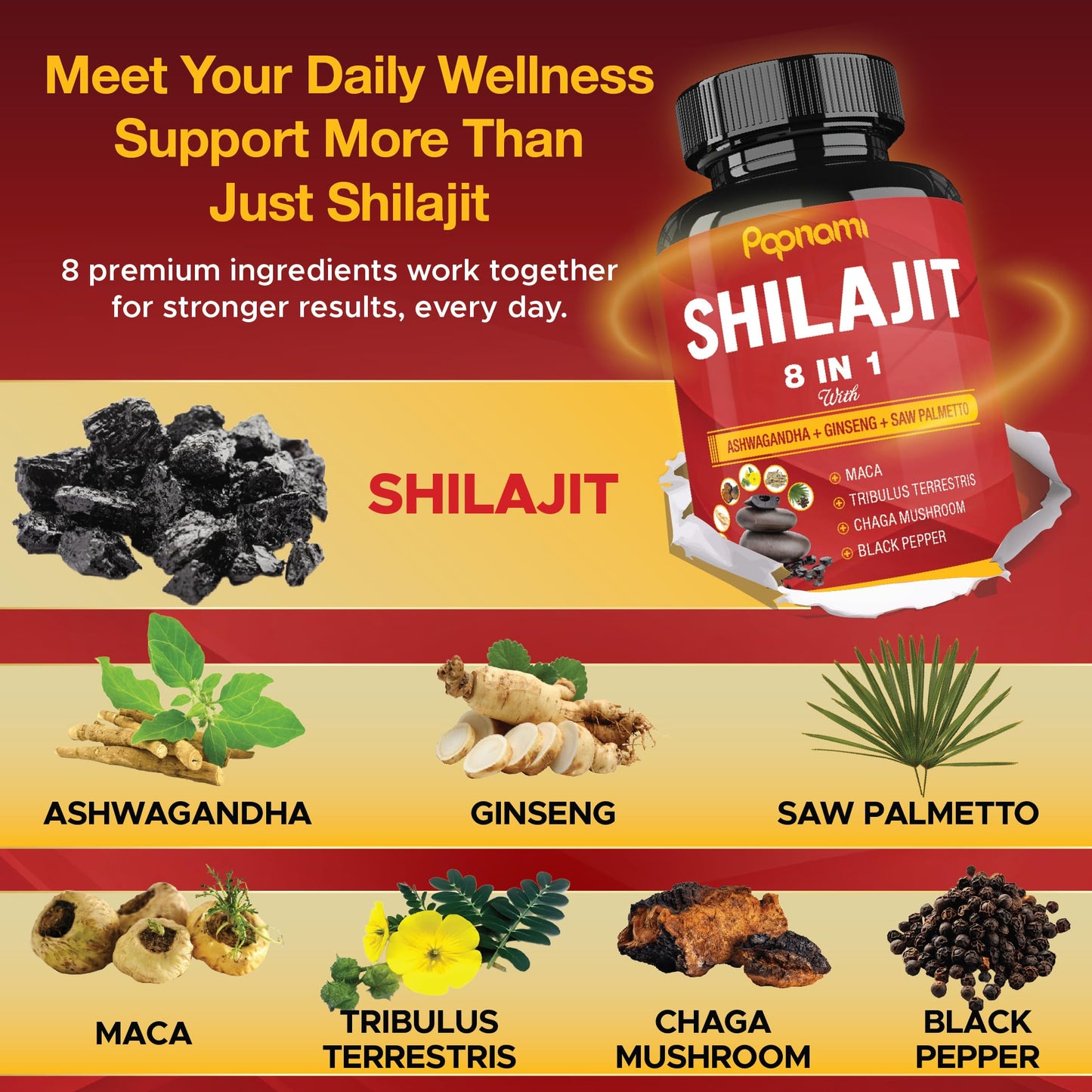 Papnami Shilajit Himalayan Supplement for Men & Women Capsule 150 Count