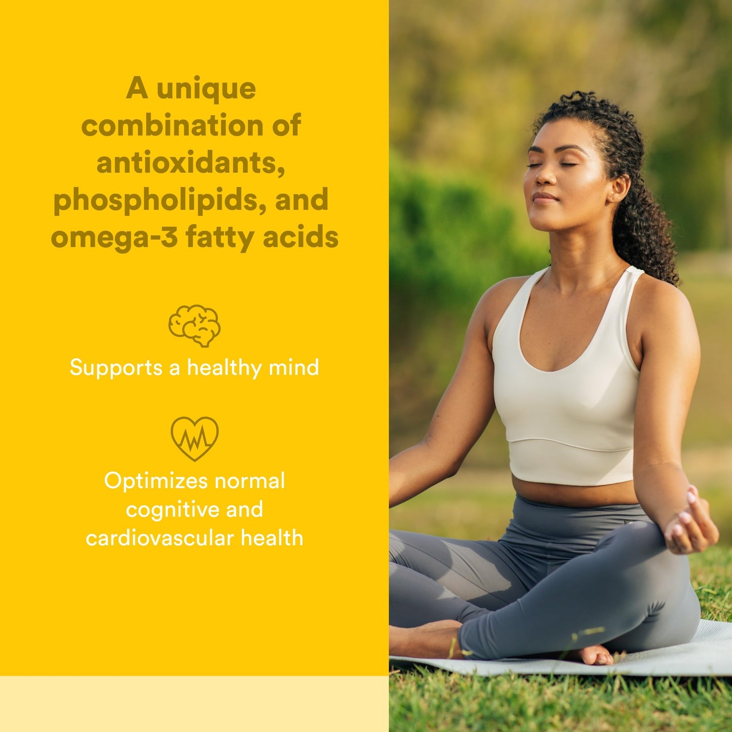 Natural Factors 3 Brains, Higher Thoughts, Support for Cognitive Health and Brain Function Daily Dietary Supplement Softgels 90 Count