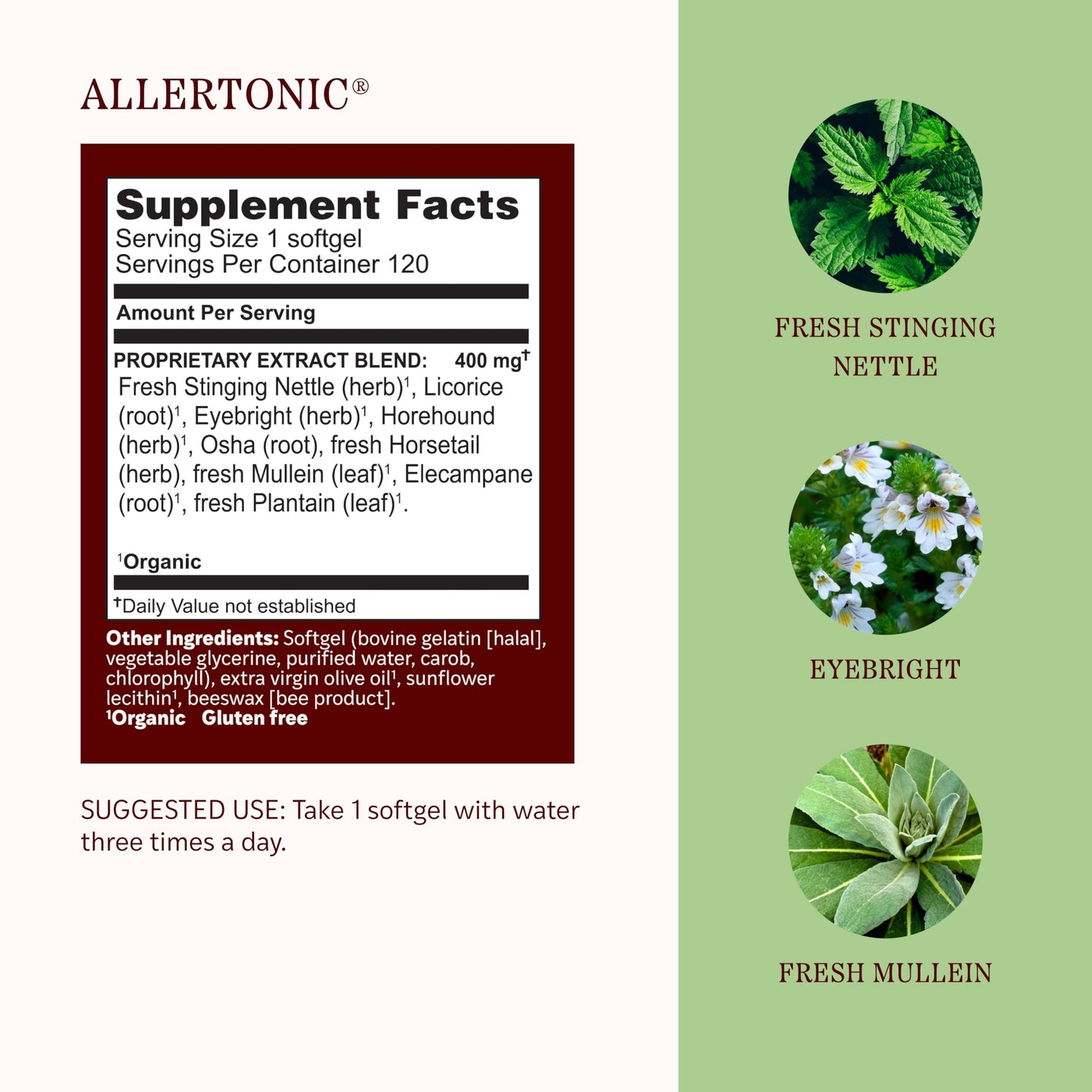 Herbs Etc. Allertonic Softgels 120 Count