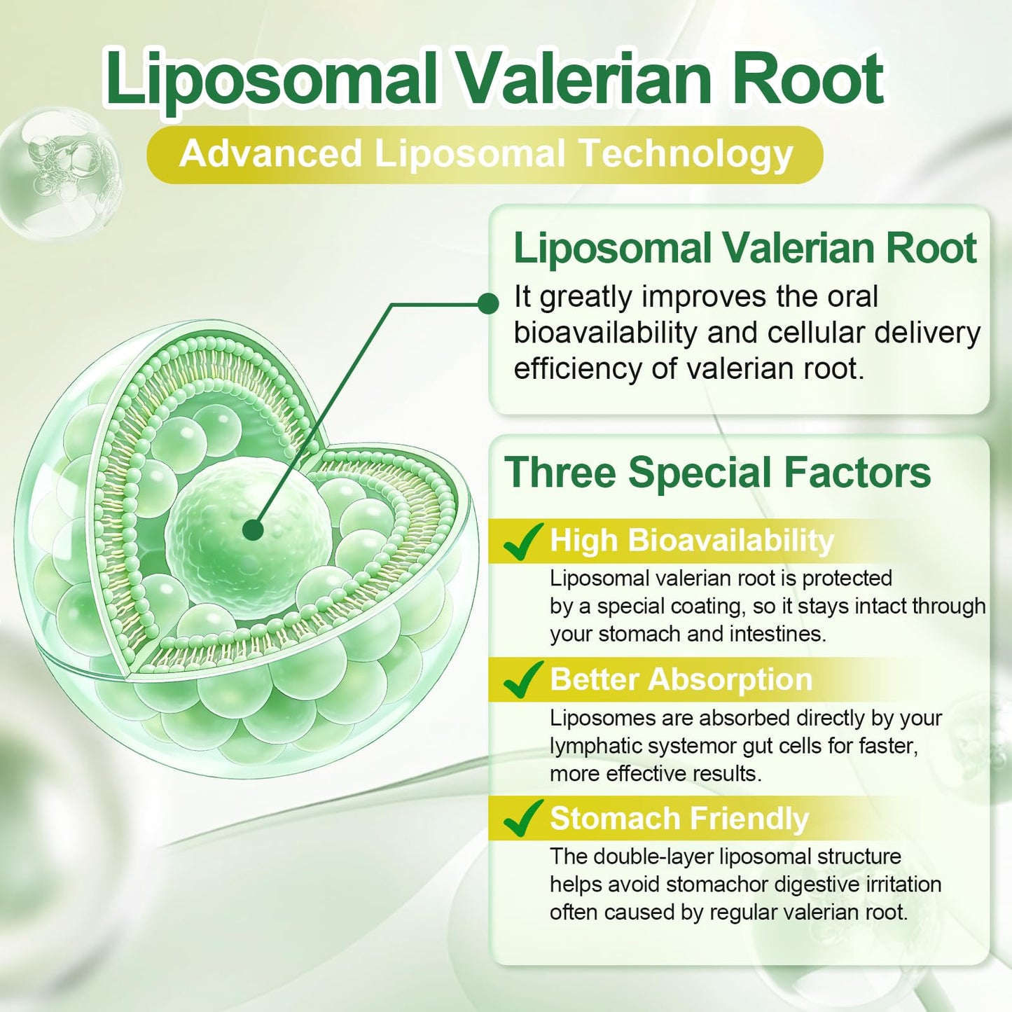 ZOYIIUVY Liposomal Valerian Root Gummies, 120 Count
