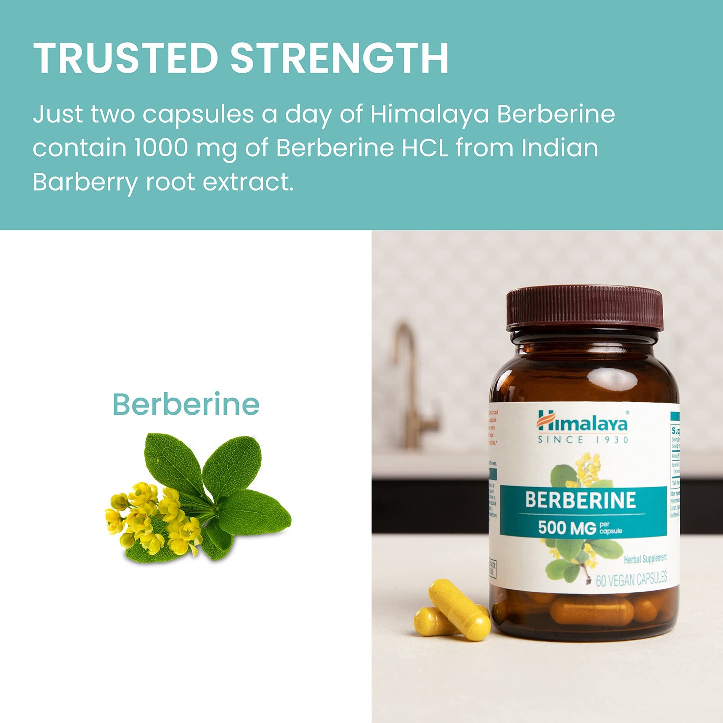 Himalaya Berberine 500 mg Capsules, 60 Count