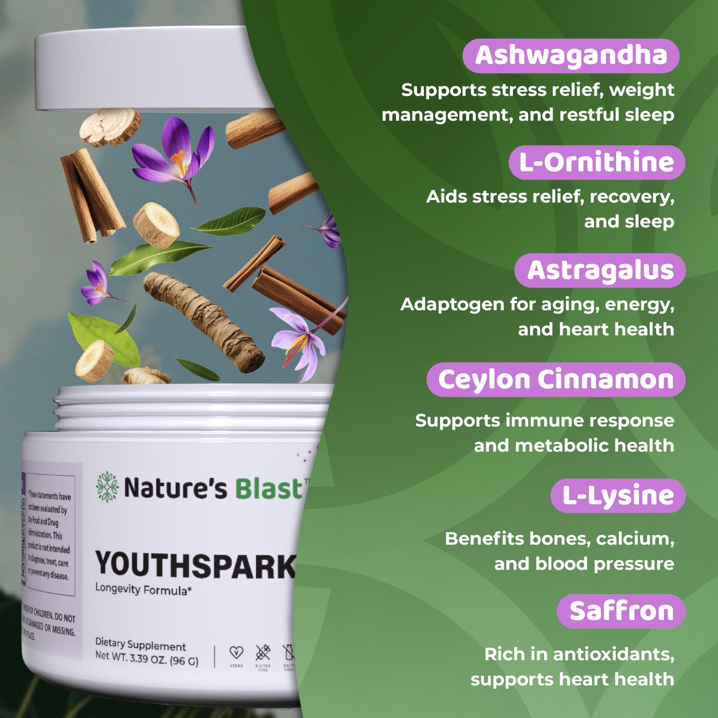 NATURES BLAST YouthSpark Longevity Supplement with Ashwagandha Root Extract (600mg), Astragalus & Cinnamon - Fruit Flavor Powder, 3.39 Ounce