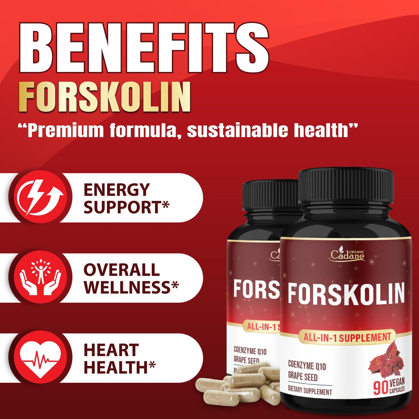 Organic Cadane Forskolin Supplement with Coenzyme Q10 & Grape Seed Extract 90 Capsules