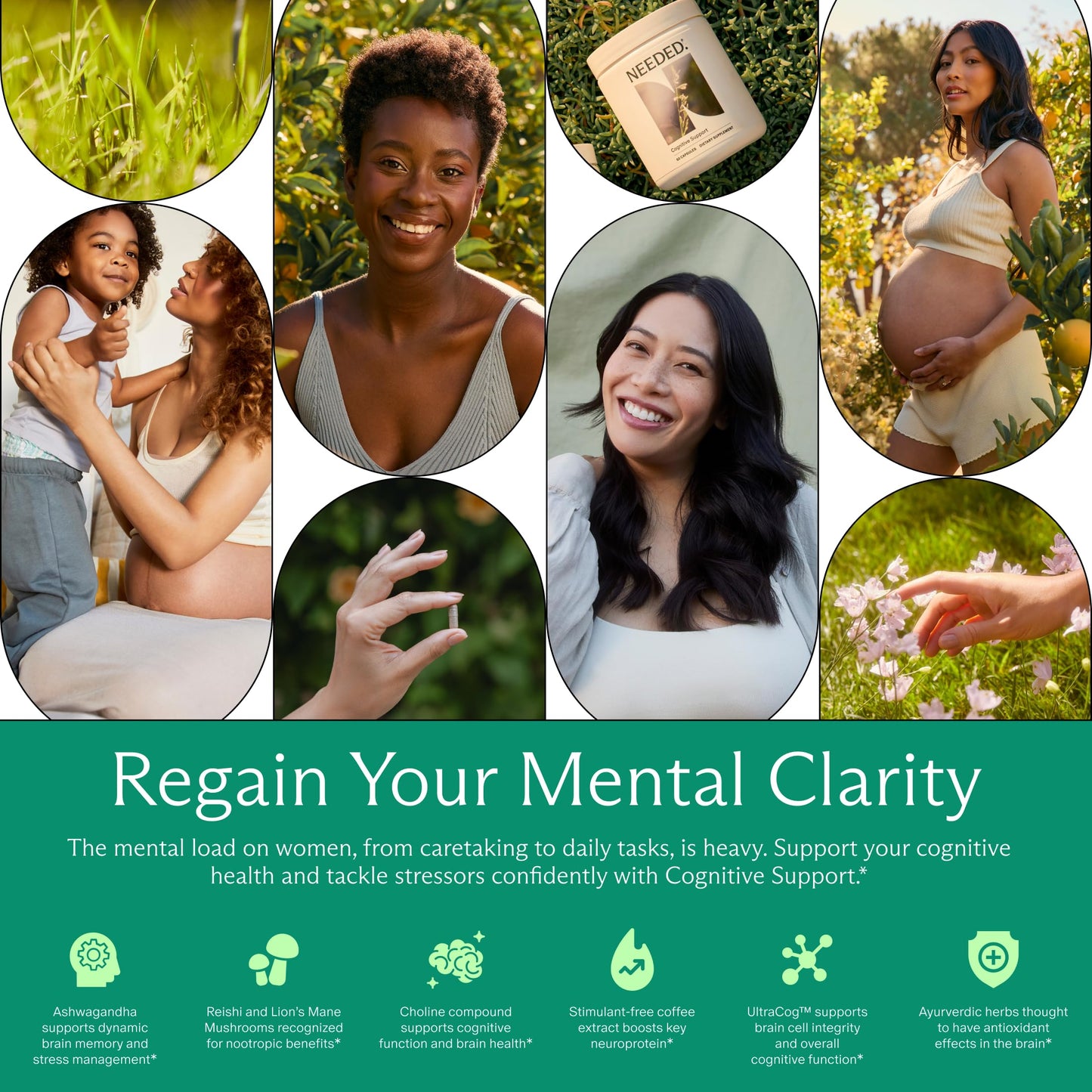 Needed. Cognitive Support - Comprehensive Supplement with Ashwagandha, Reishi & Lion's Mane Mushrooms, Breastfeeding Safe - Supports Focus, Attention, & Memory Capsule 60