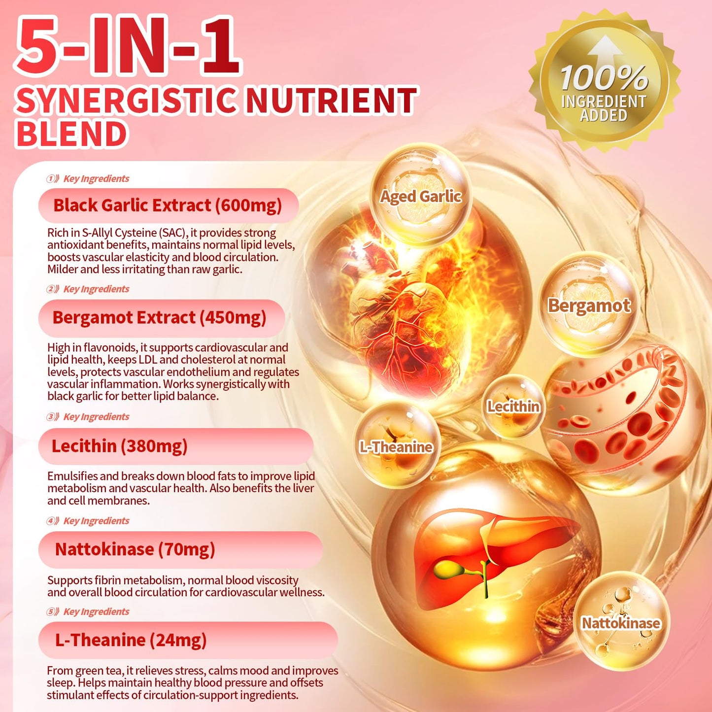 VivoNu Odorless Aged Garlic Extract 1500mg per Serving, 240 Capsules