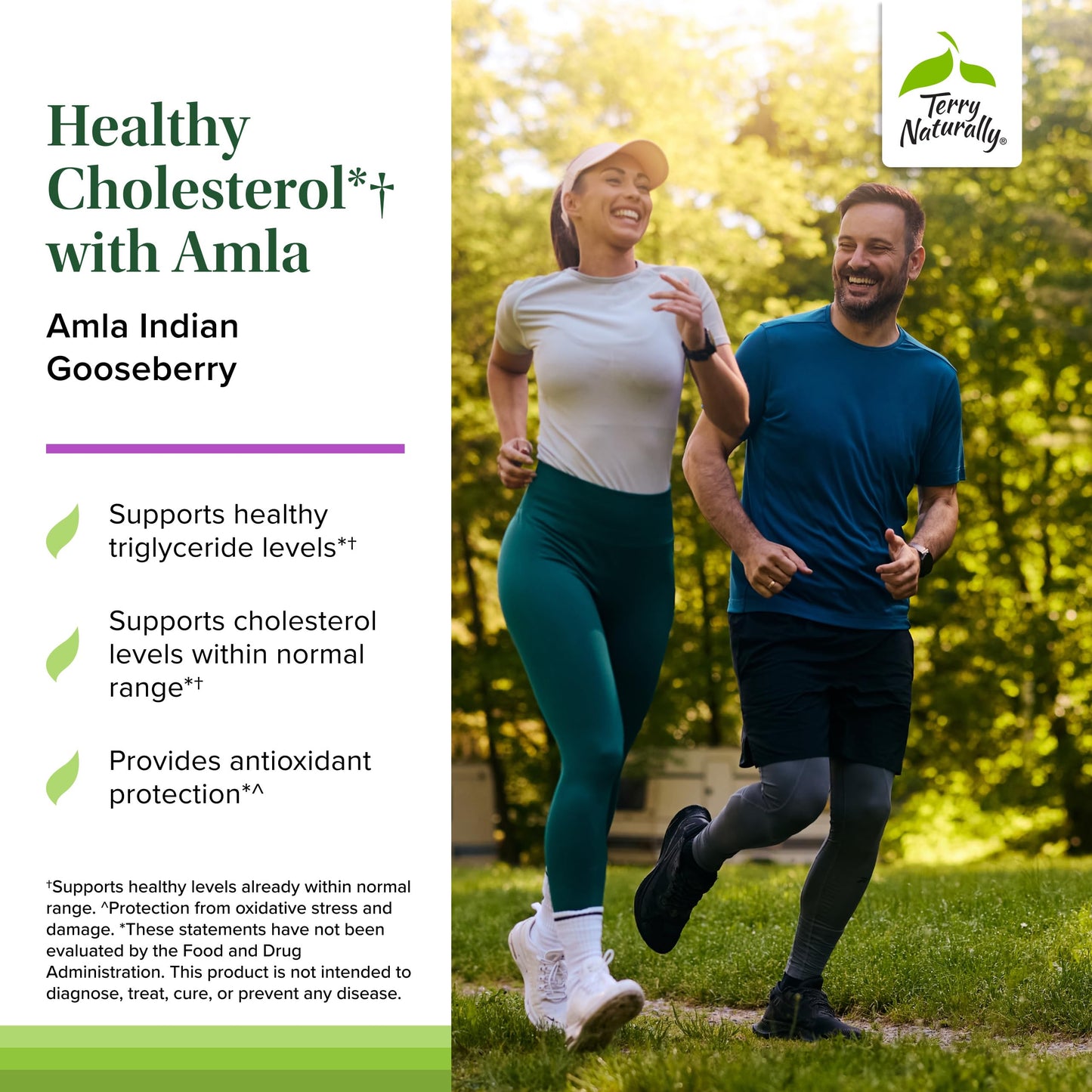 Terry Naturally Healthy Cholesterol with Amla Capsule, 60 Count