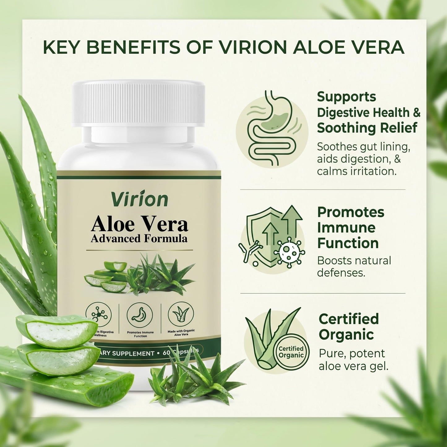 Virion Aloe Vera Capsules 1 Count