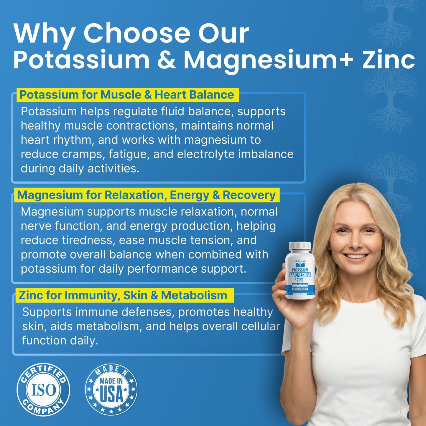 LifeStrength Magnesium Potassium Zinc Supplements Capsules, 90 Count