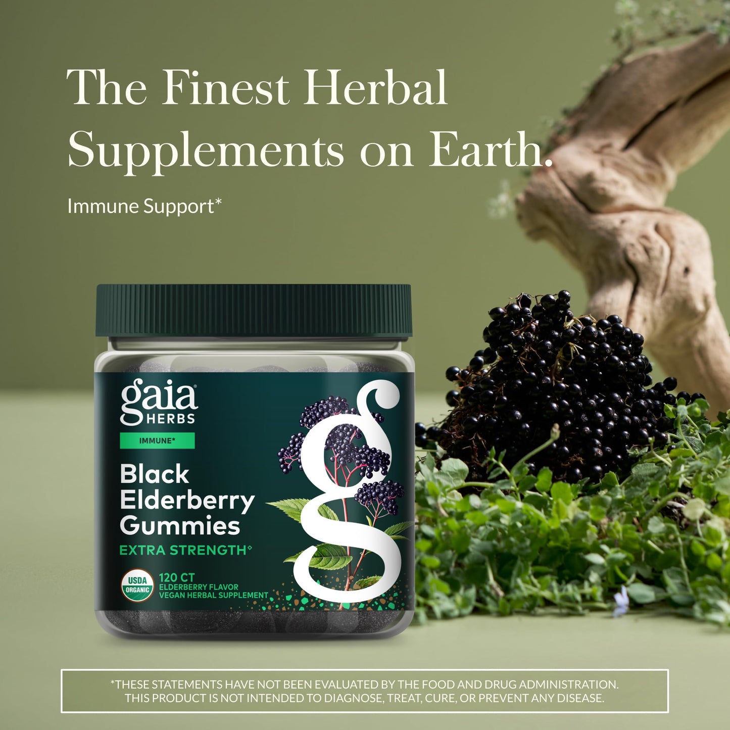 Gaia Herbs Black Elderberry Extra Strength Gummies, 120 Gummies