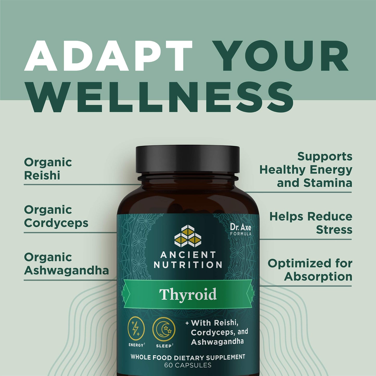 Ancient Nutrition Thyroid Support Supplement with Ashwaghanda Capsules, 60 Count