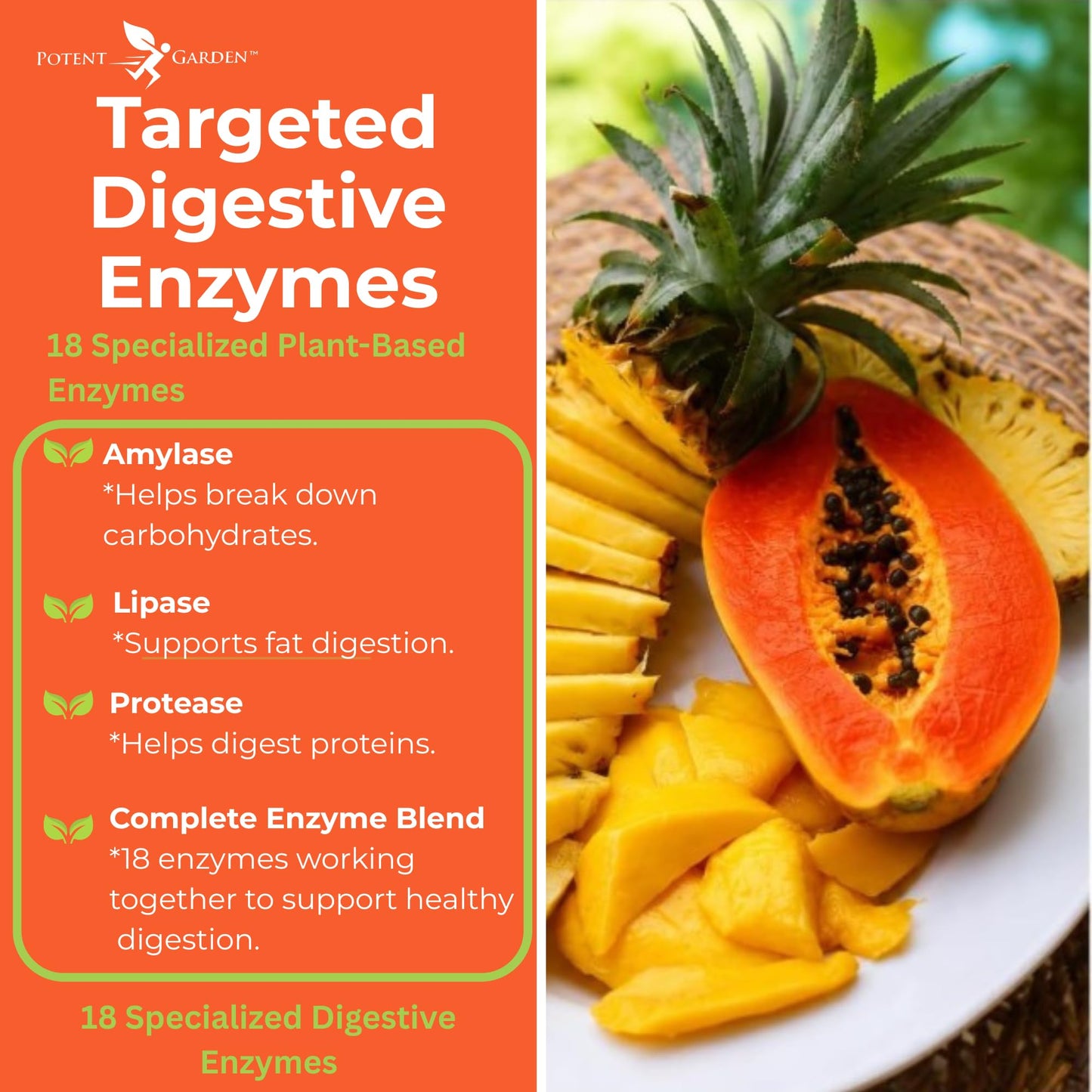 Potent Garden Digestive Enzymes, 60 Capsules