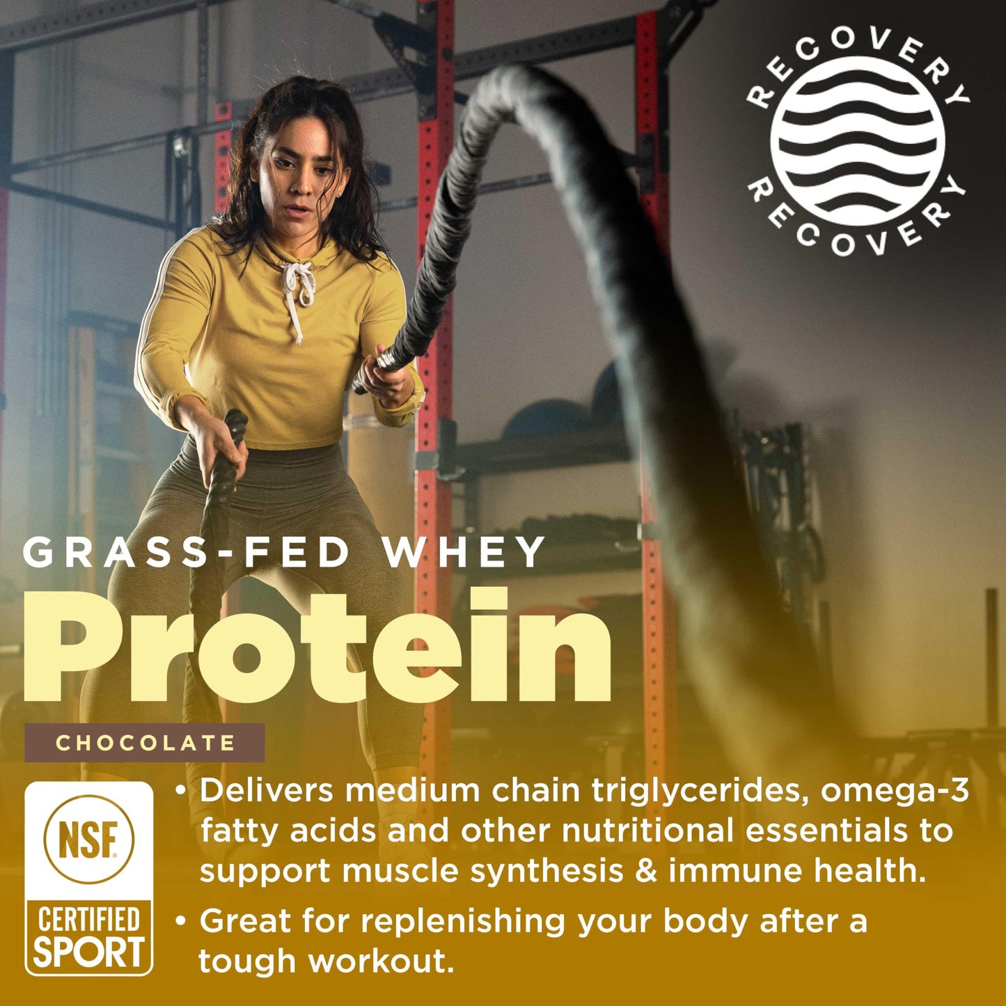 Gnarly Nutrition Creatine Powder, Unflavored (16.05 oz) and Gnarly Whey Grass-Fed Protein Powder, Chocolate (32.0 oz)