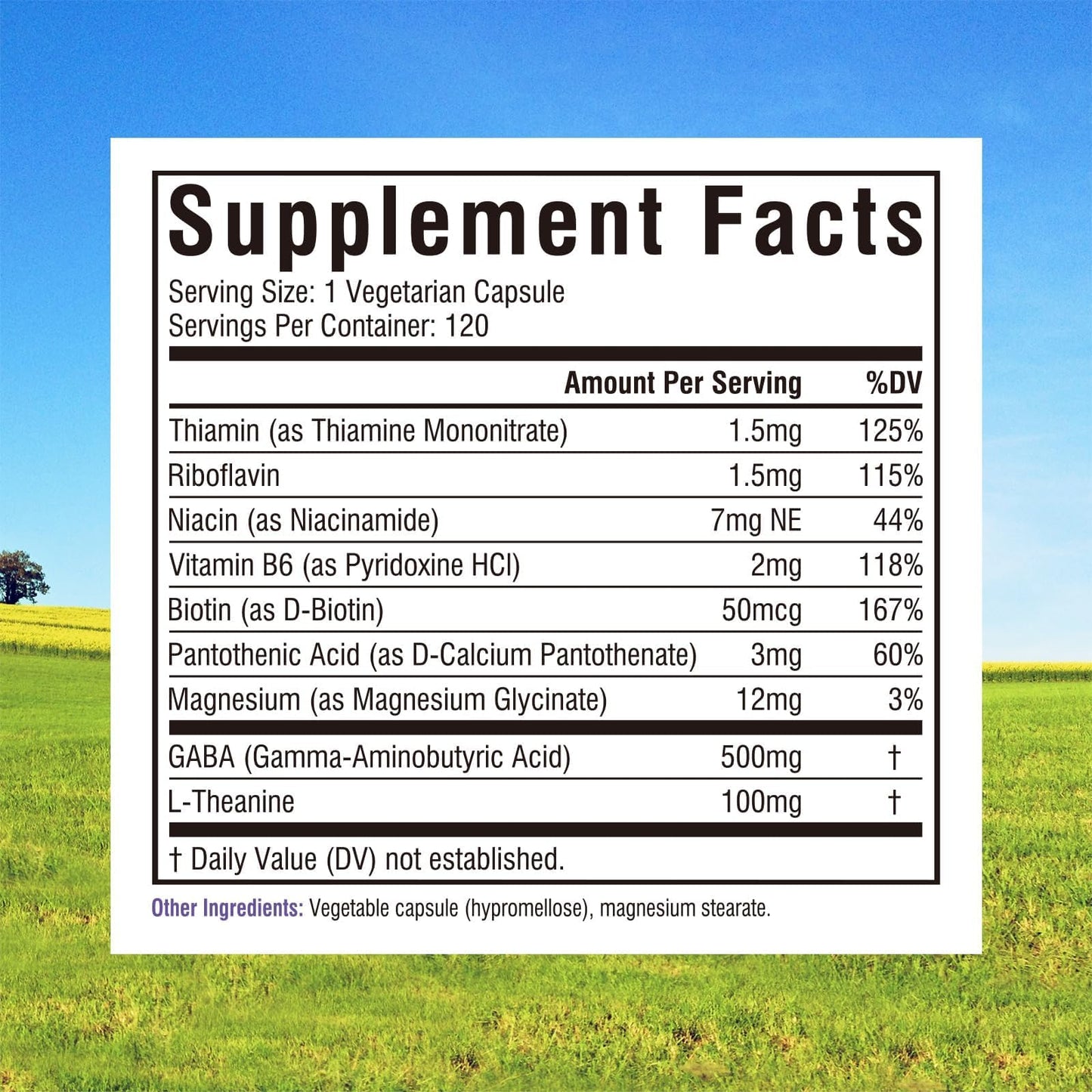 Innate Vitality GABA with L-Theanine, Magnesium Glycinate, B Complex, Vitamin B6 Capsules 120