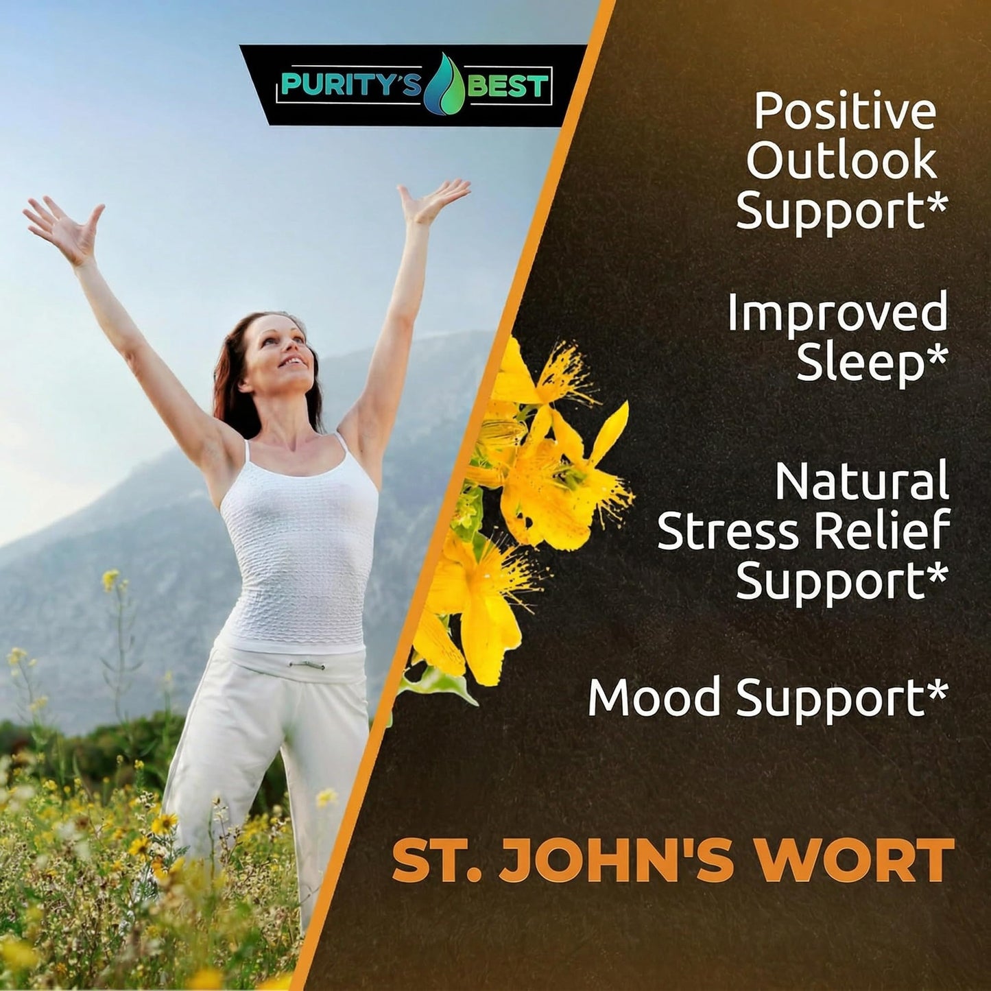 Purity's Best St. John's Wort 500 mg Capsule, 150 Count