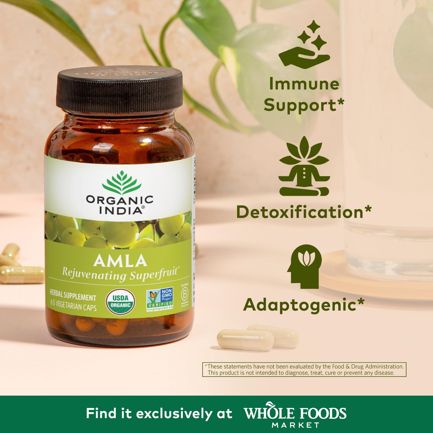 ORGANIC INDIA Amla 60 Capsules