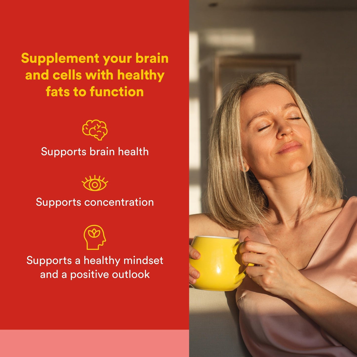 Natural Factors Phosphatidylserine Softgels 30