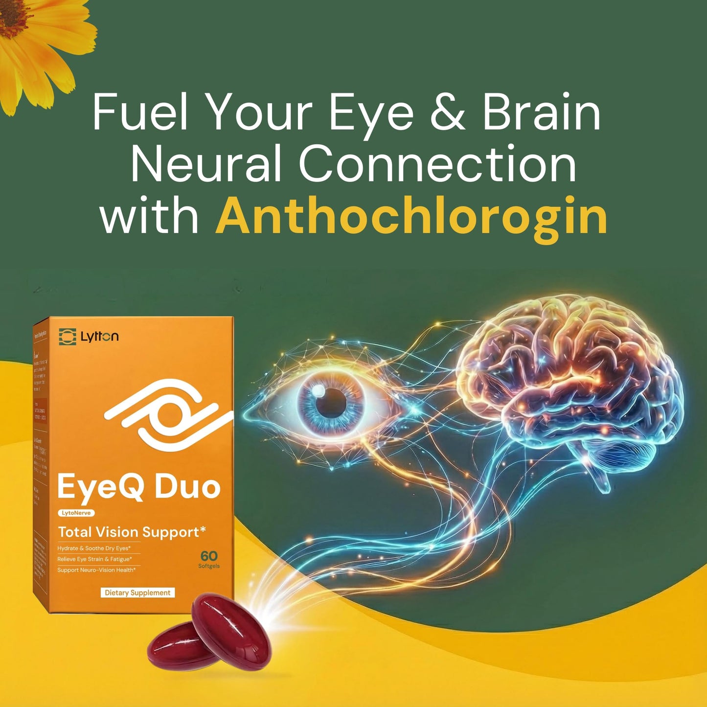 LYTTON EyeQ Duo Digital Eye & Focus Support Softgels 60