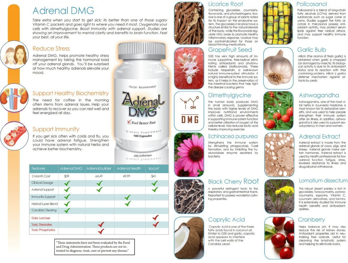 The Delgado Protocol for Health Adrenal DMG Capsule 180 Count