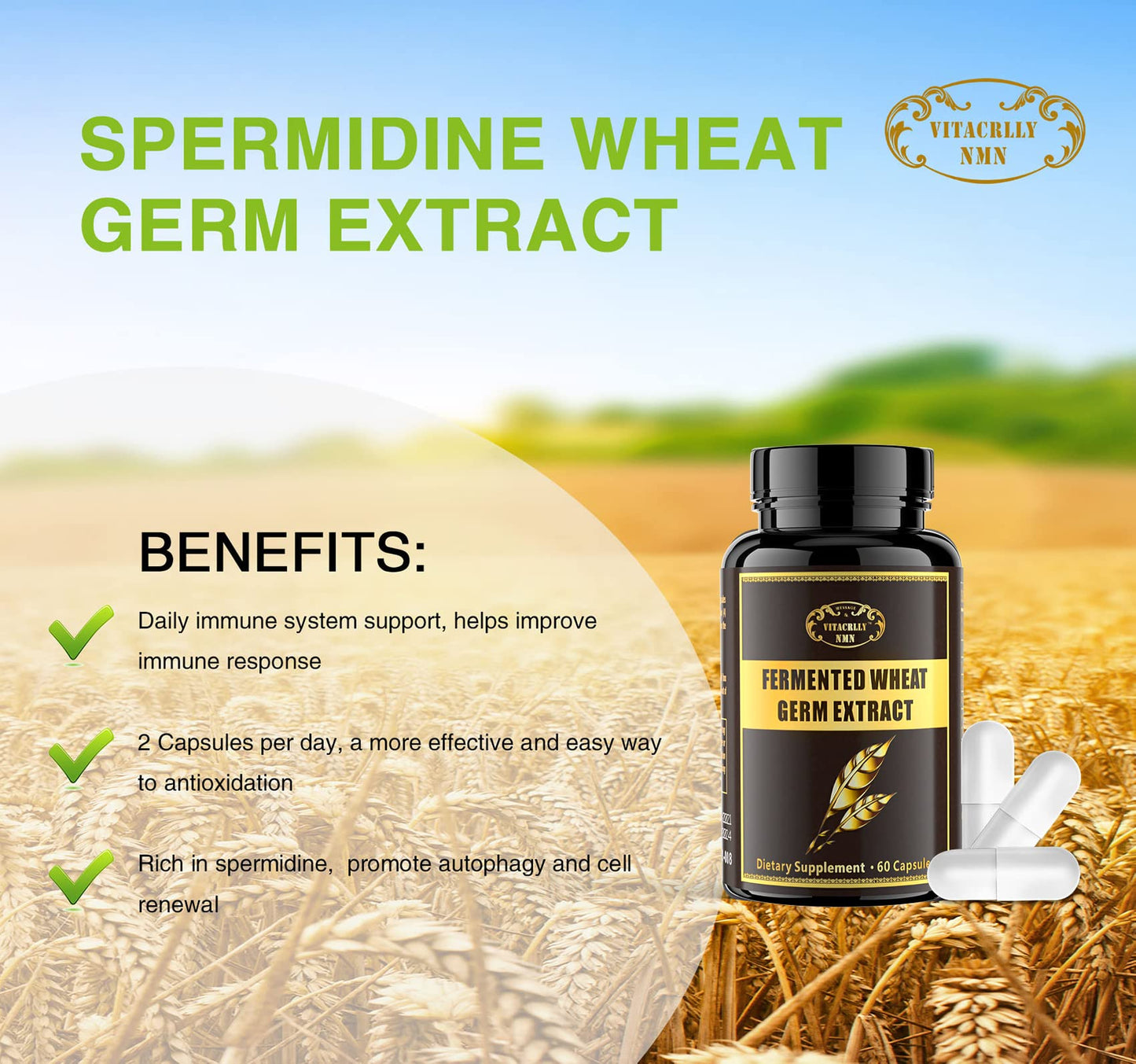 VITACRLLYNMN 1000mg Spermidine Supplements Fermented Wheat Germ Extract with Zinc 60 Capsules