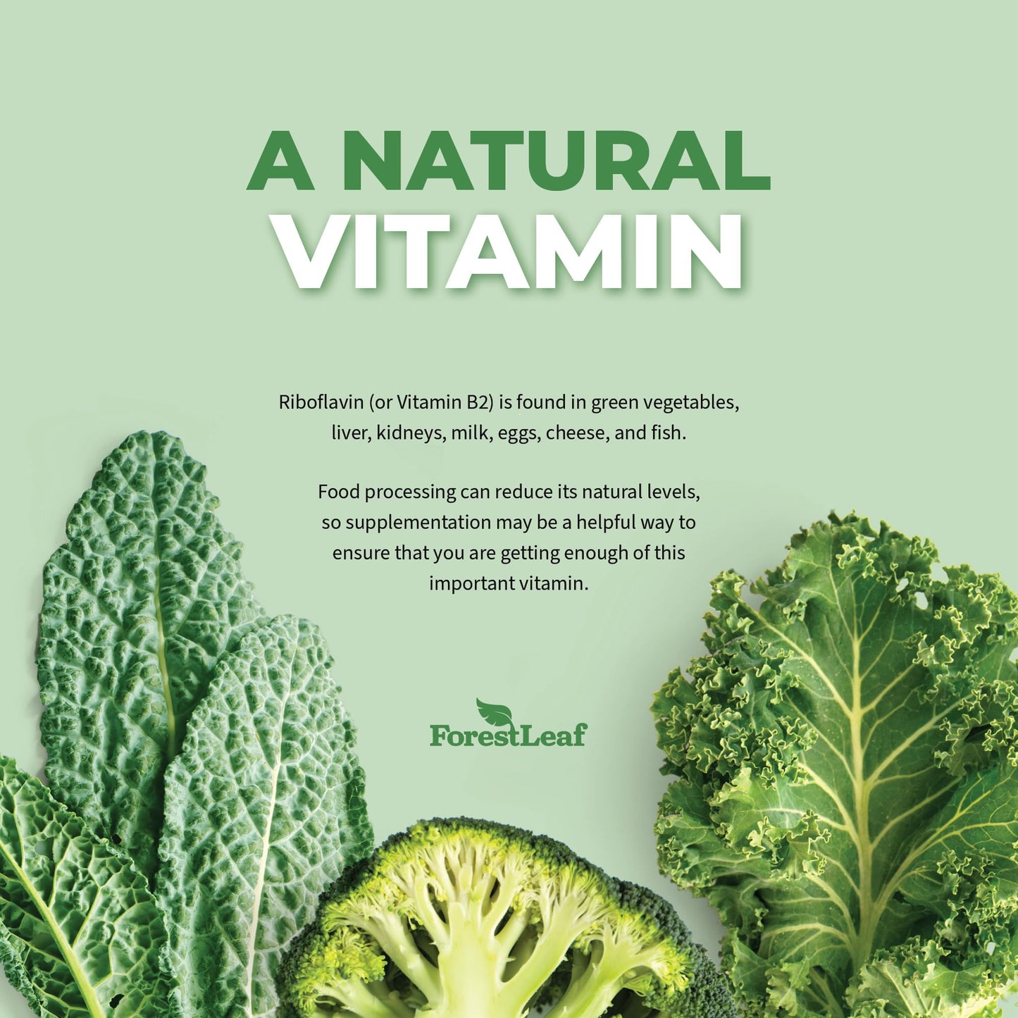 ForestLeaf Riboflavin & Magnesium Migraine Supplement Capsules 180