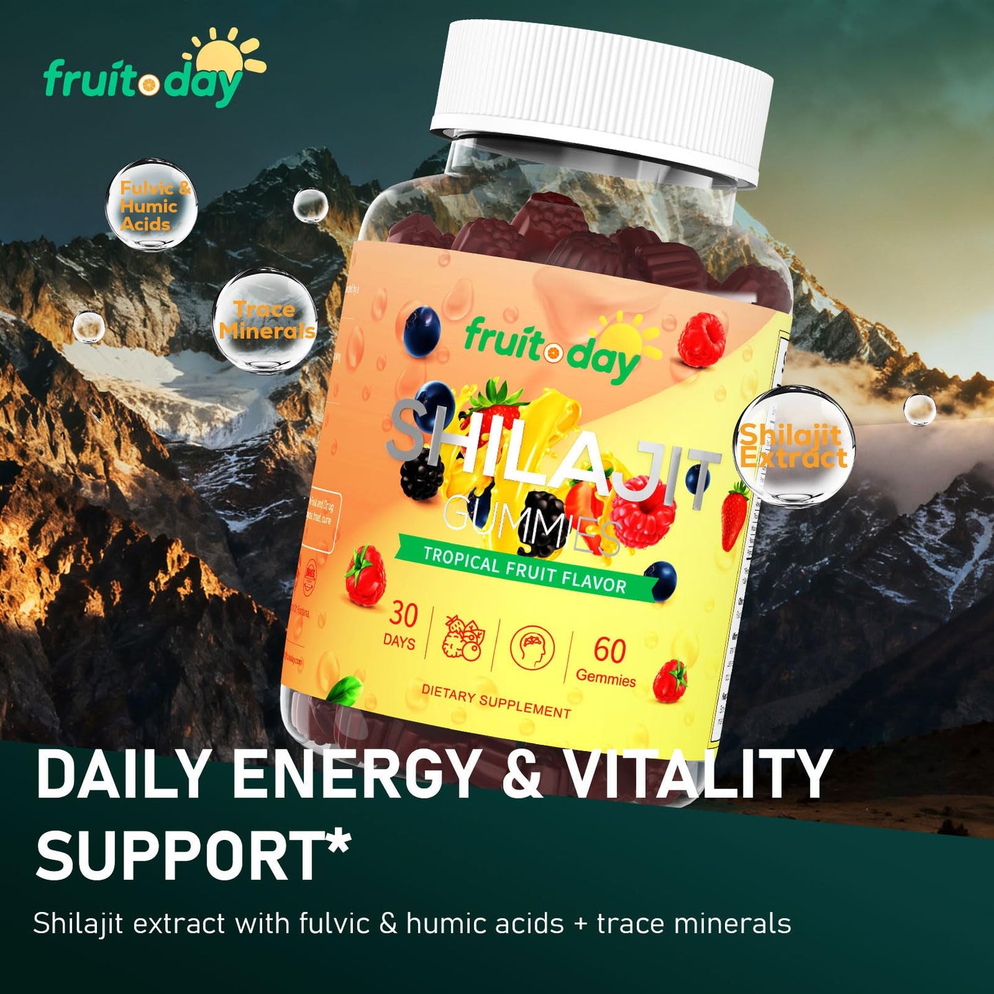 Fruitoday Himalayan Shilajit Gummies, 1 Count