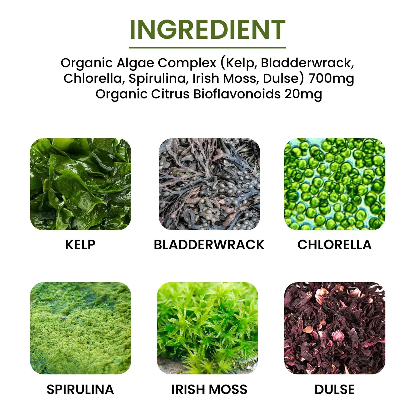 Green Organic Supplements Chlorella Herbal Supplements Tablets 90