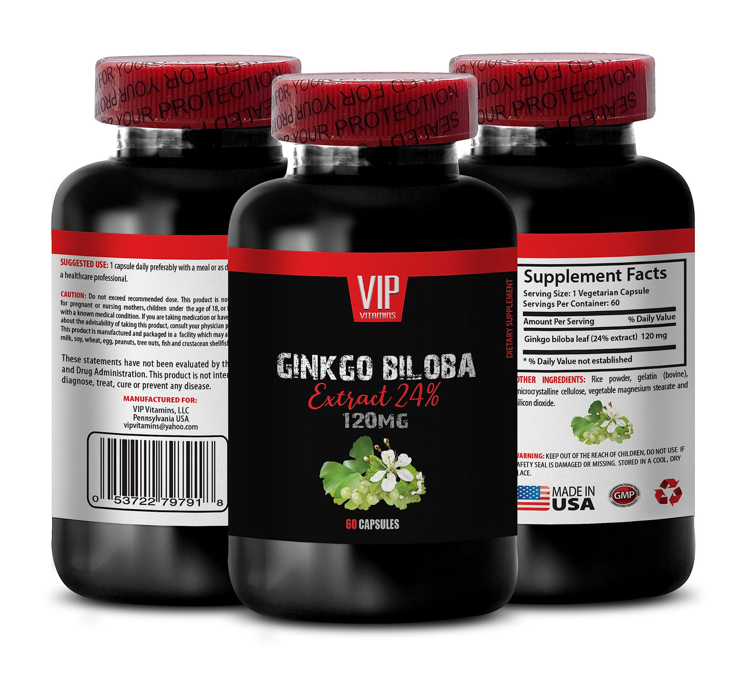 SKIN CARE SOLUTIONS Ginkgo Biloba Organic Capsule 180 Capsules