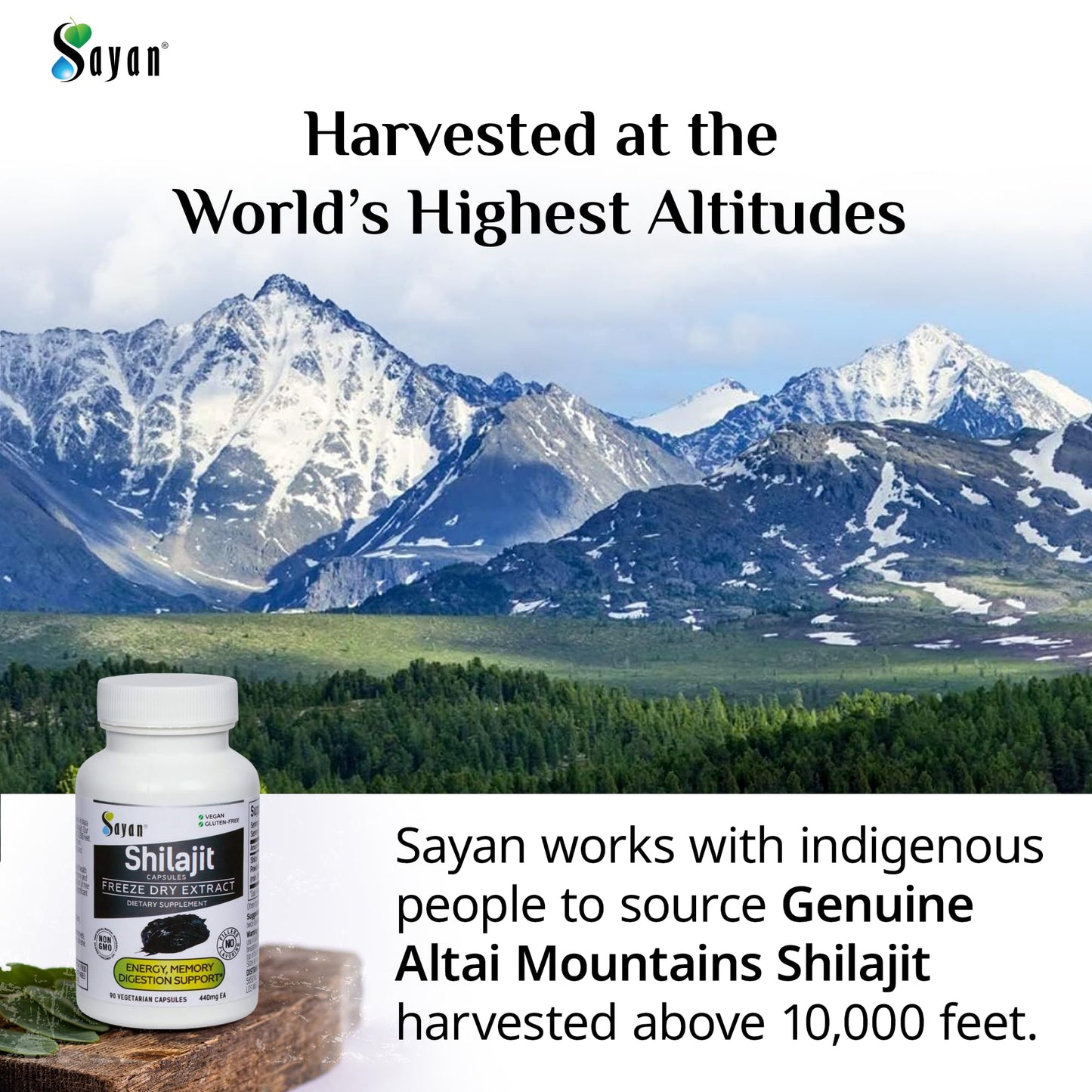 Sayan Shilajit Capsules 90 Count