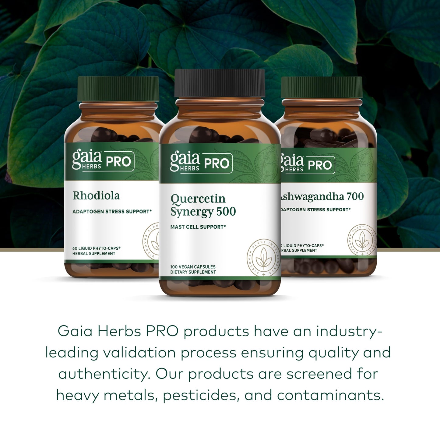 Gaia Herbs PRO Quercetin Synergy 500 Immune System Support with Bromelain & Turmeric, 100 Capsules