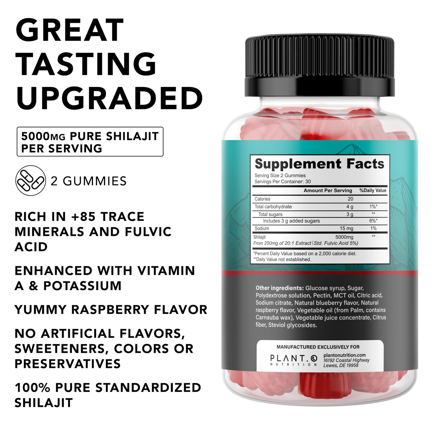 PLANT.O NUTRITION Shilajit Gummies for Men & Women, 60 Count
