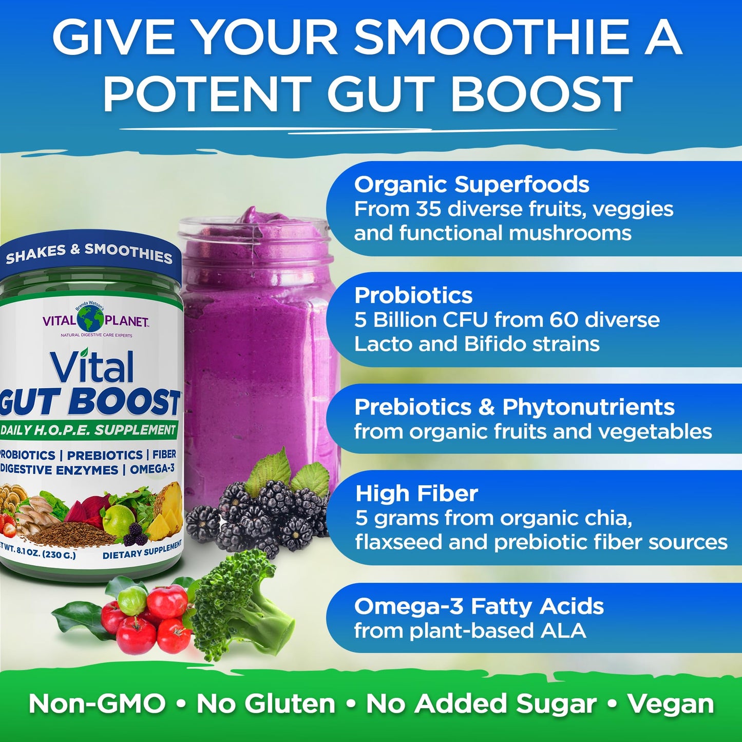 Vital Planet Vital Gut Boost Powder, 8.1 oz
