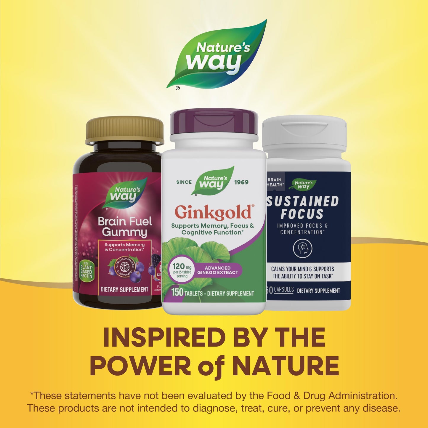 Nature's Way Ginkgold Advanced Ginkgo Biloba Extract 150 Tablets